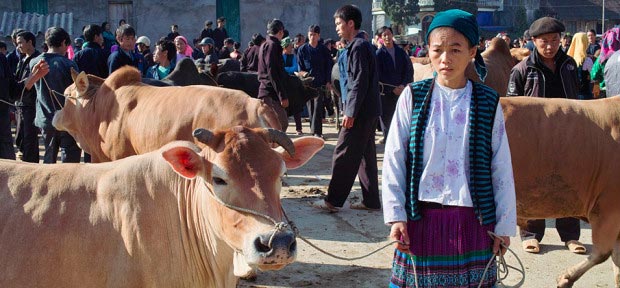 Meo Vac-Vietnam
