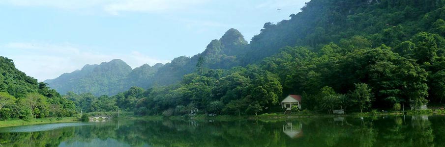 Trekking in Cuc Phuong National park