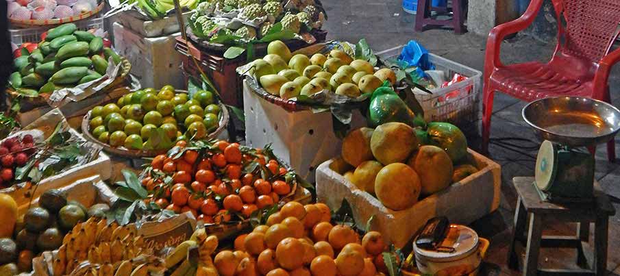 vietnam-food-fruit