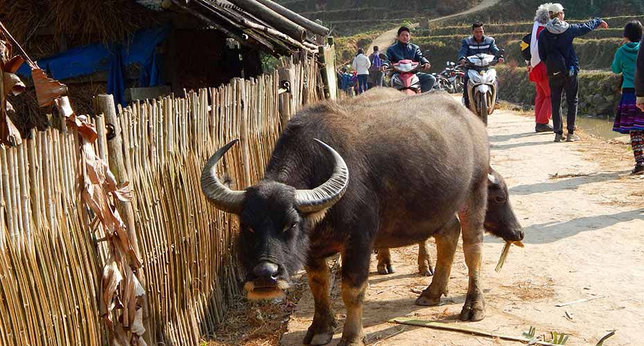 tavan-village-sapa-vietnam17