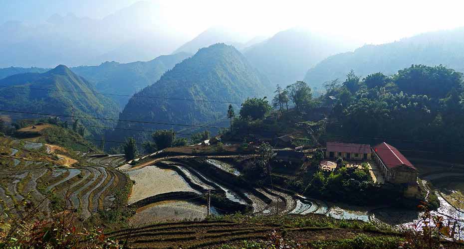 sapa-north-vietnam-rice