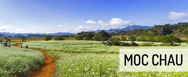 moc-chau-vietnam