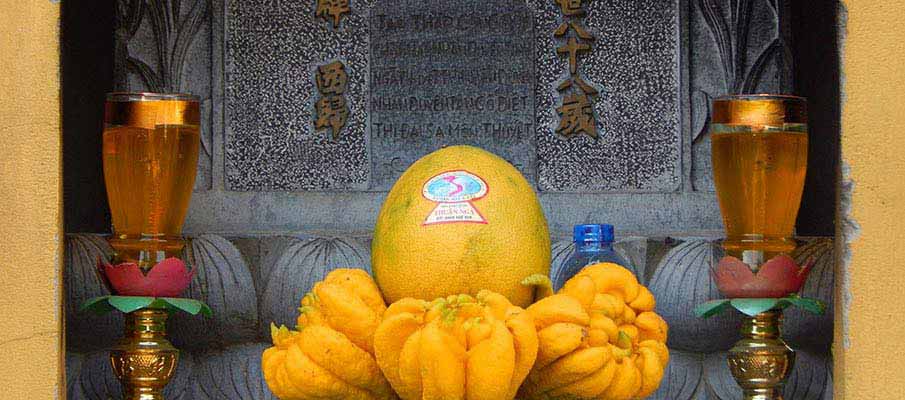 tran-quoc-pagoda-hanoi9