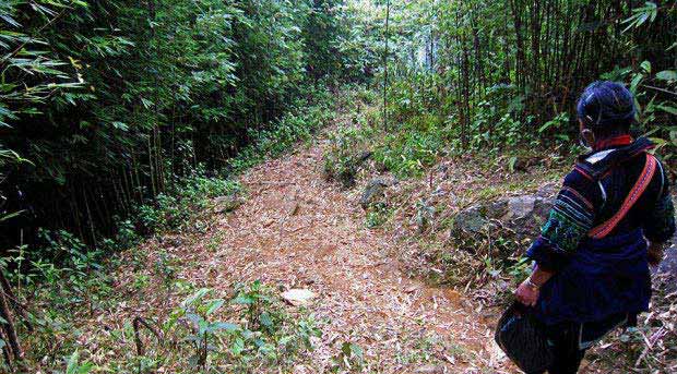 vietnam-sapa-trekking