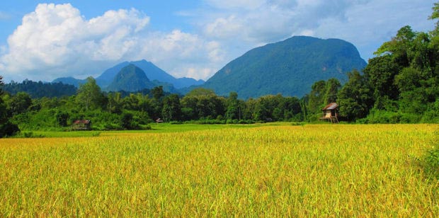 laos-country-side