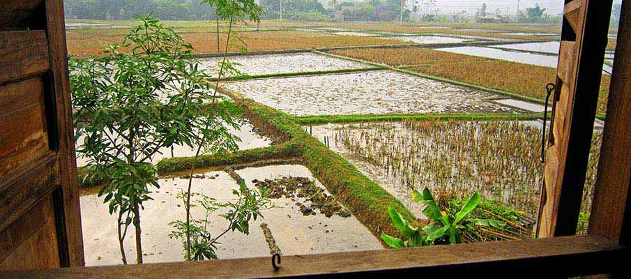 mai-chau-ecohouse-pom-coong6