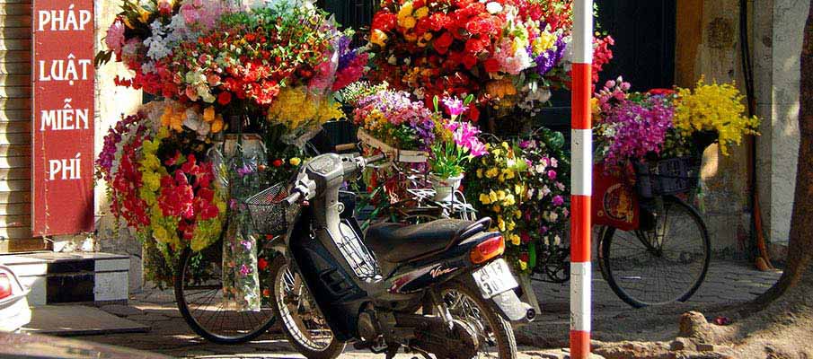 motorbike-parking-hanoi-vietnam