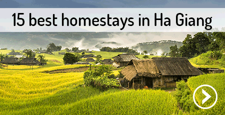 best-homestays-ha-giang