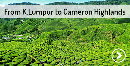 kuala-lumpur-cameron-highlands-malaysia