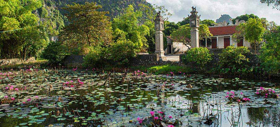 tam-coc-ninh-binh-lotus-vietnam