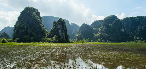 MUA CAVES in Ninh Binh (Hang Mua) ️ TIPS | 2024