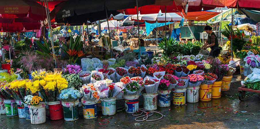 quang-ba-flower-market-hanoi