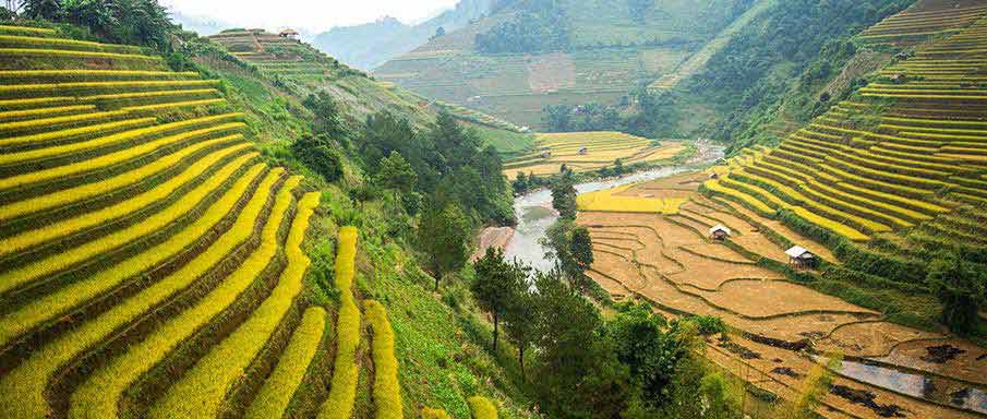 hanoi-to-sapa-mu-cang-chai | Northern Vietnam