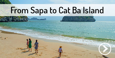 transport-sapa-cat-ba-island