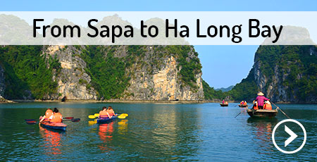 transport-sapa-ha-long-bay