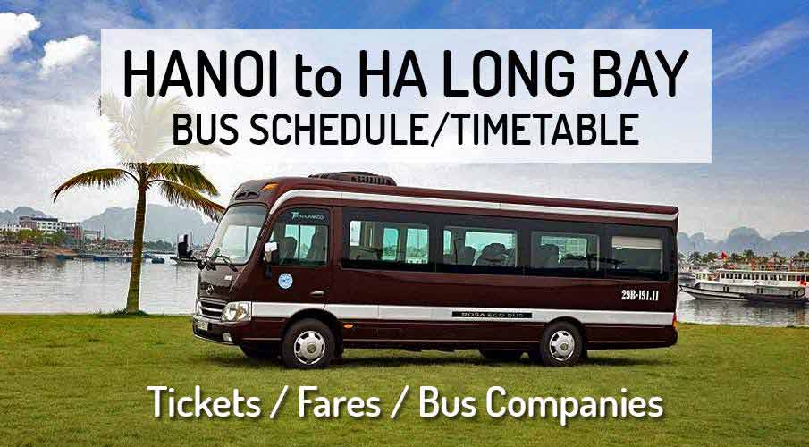 Dong Hoi to Halong Bay by bus, train from VND 305k - Dec 2023