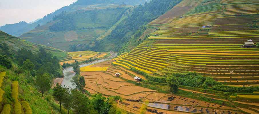 mu-cang-chai-rice-terrace-vietnam