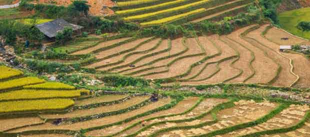 mu-cang-chai-rice-terrace1-vietnam