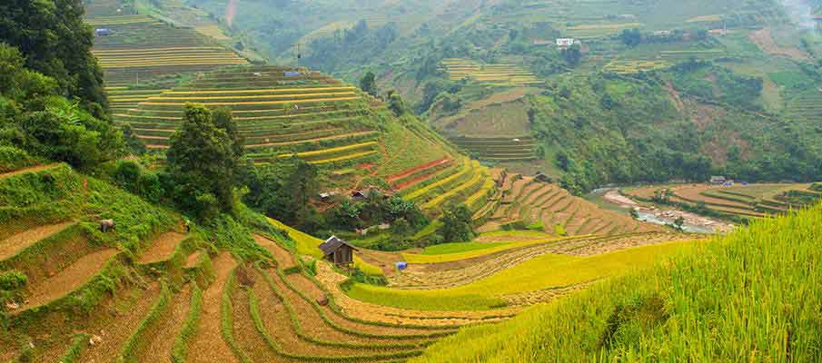 mu-cang-chai-rice-terrace2-vietnam