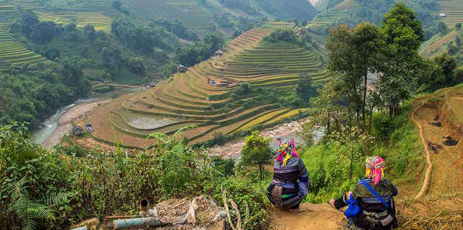 mu-cang-chai-rice-terrace4-vietnam