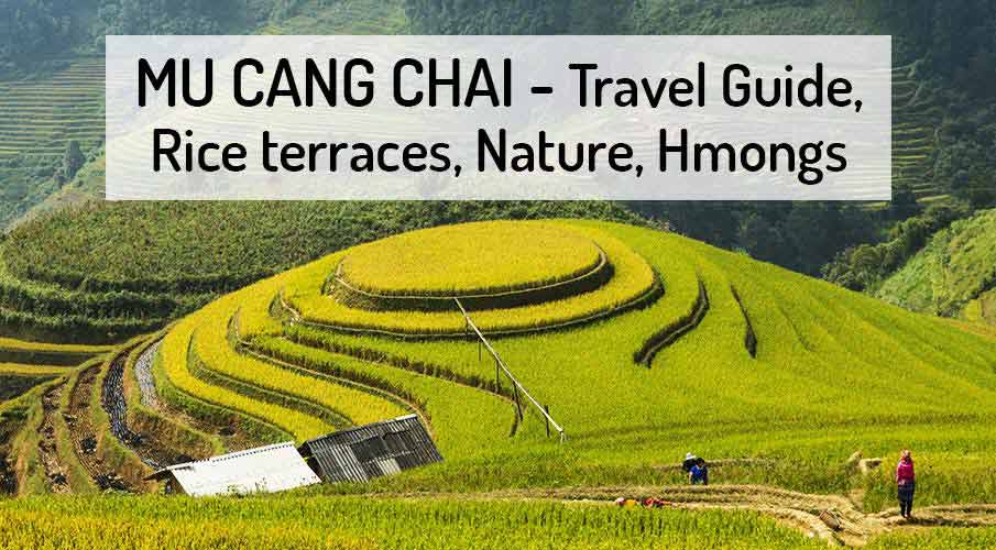 mu-cang-chai-rice-vietnam