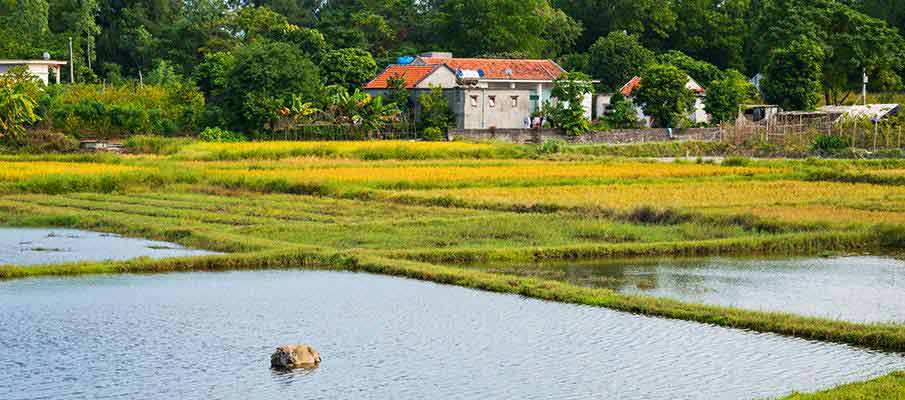 quan-lan-island-village-vietnam