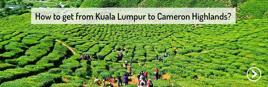 transport-kuala-lumpur-cameron-highlands-malaysia