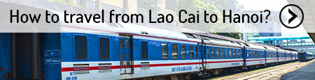 lao-cai-to-hanoi-transfer