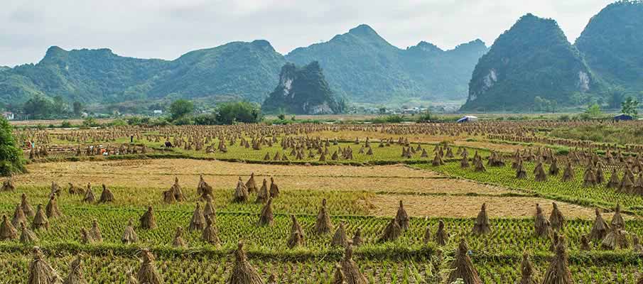 phong-nam-cao-bang-vietnam12