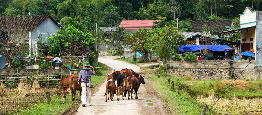 phong-nam-cao-bang-village