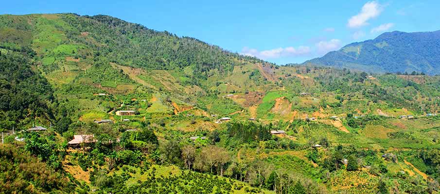 ta-xua-nature-reserve-vietnam