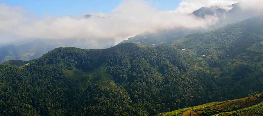 ta-xua-nature-reserve-vietnam1