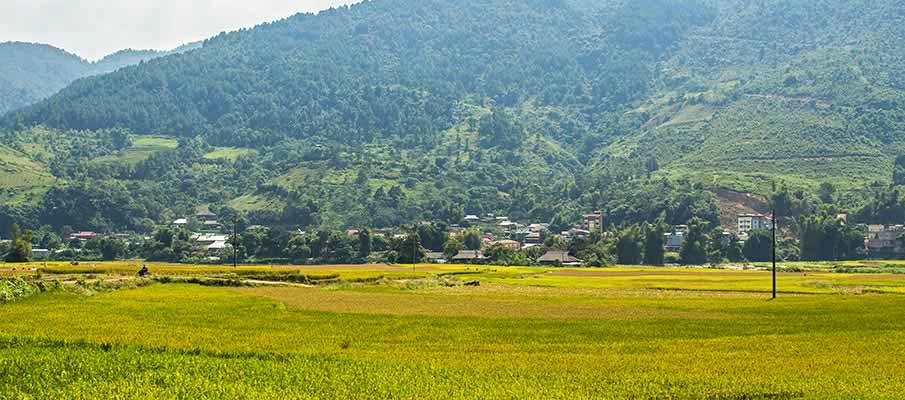 tu-le-town-rice-field-vietnam