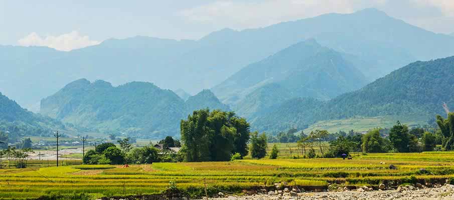 tu-le-yen-bai-rice-field-vietnam3