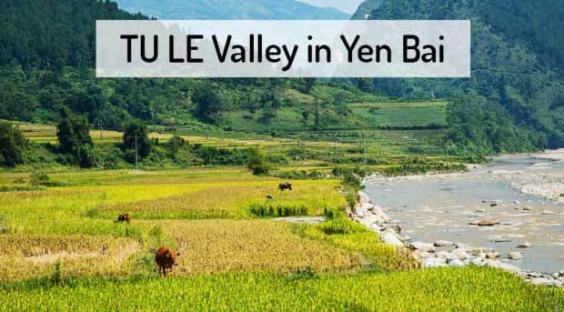 tu-le-yen-bai-rice-terraces-vietnam