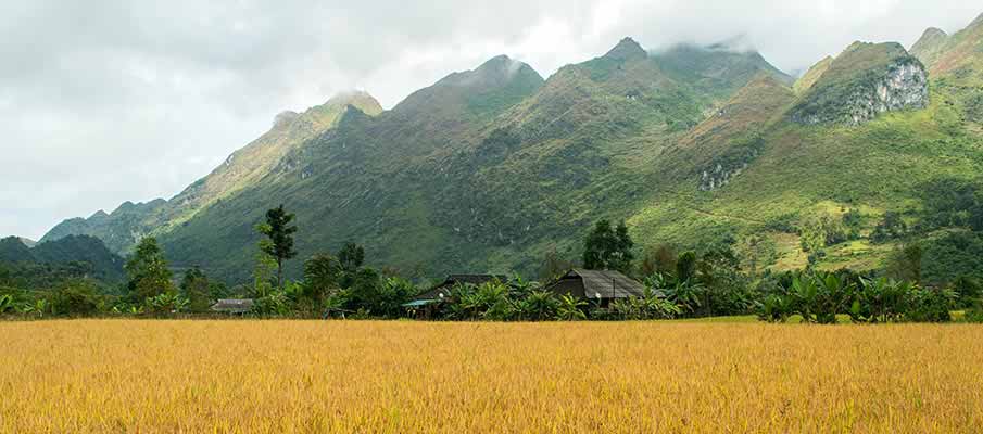 xuan-truong-bao-lac-vietnam3