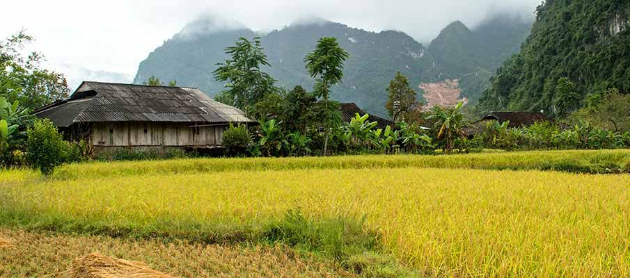 xuan-truong-bao-lac-vietnam4