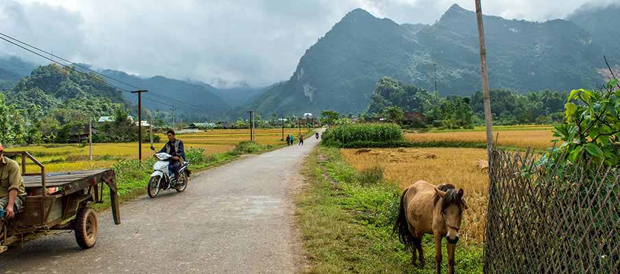 xuan-truong-bao-lac-vietnam5