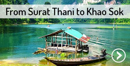 surat-thani-to-khao-sok-national-park