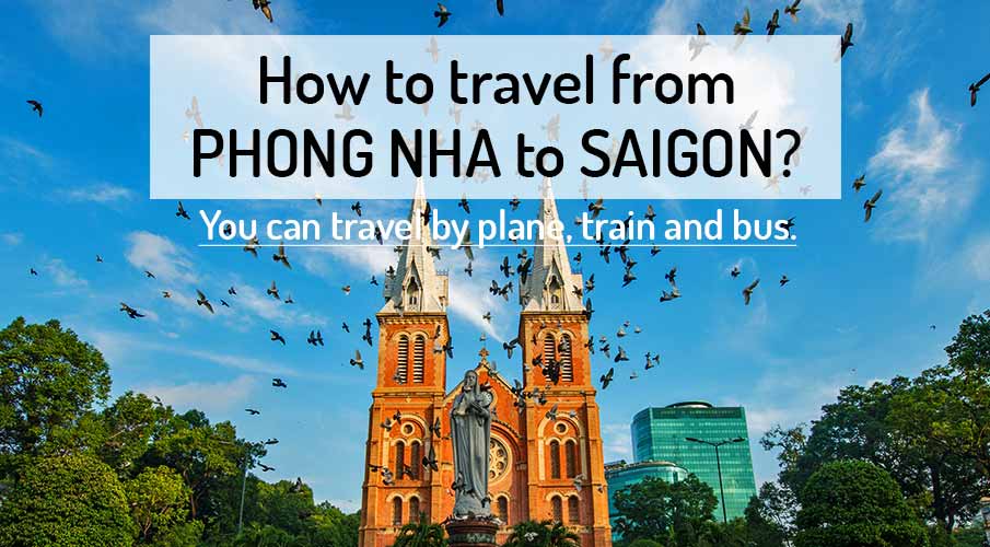 phong-nha-to-ho-chi-minh-city-transport