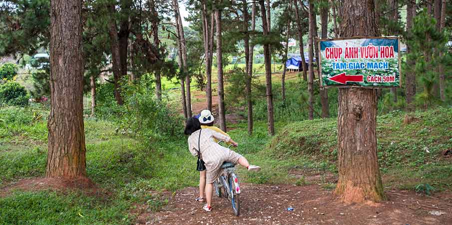 ban-ang-pine-forest-moc-chau