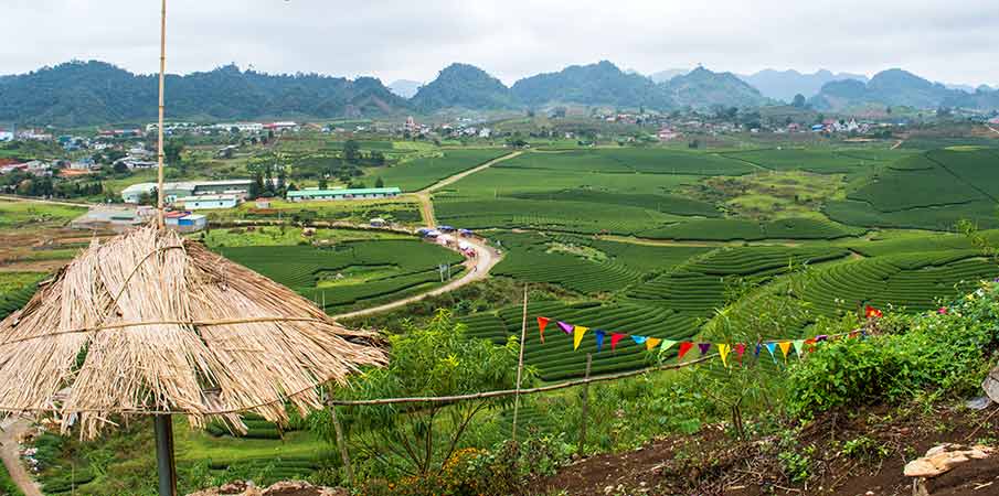 moc-chau-tea-plantations-trai-tim-hill