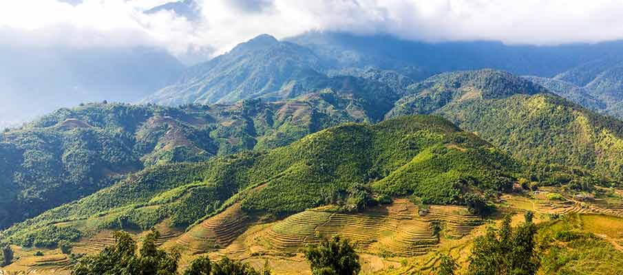 muong-hoa-valley-sapa-vietnam