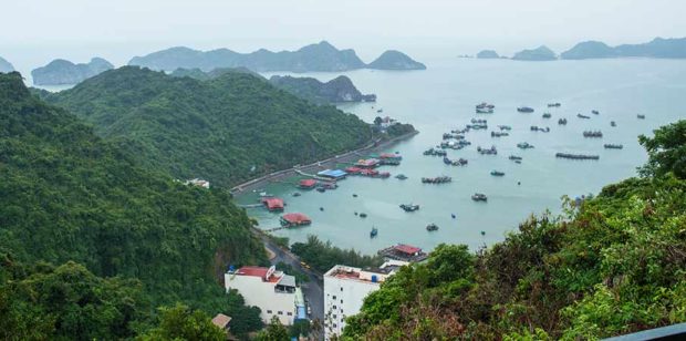 cat-ba-island-cannon-fort-viewpoint