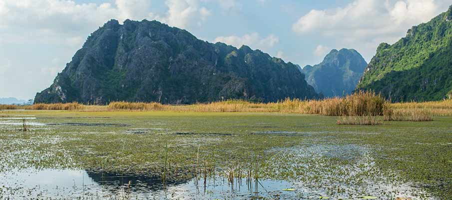 karst-scenery-van-long-reserve-vietnam