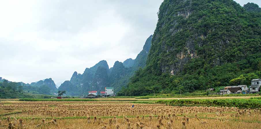 ma-phuc-pass-vietnam-cao-bang