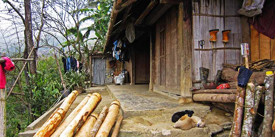 muong-hoa-valley-hau-thao-homestay