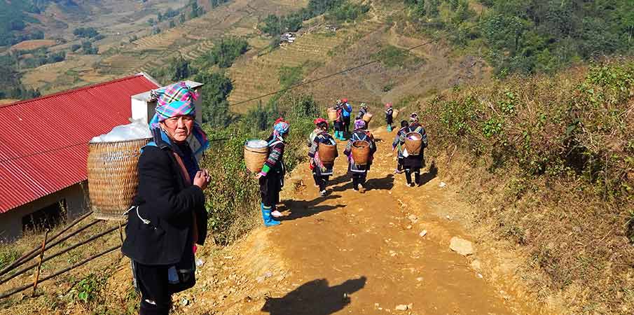 muong-hoa-valley-hmong-sapa-vietnam