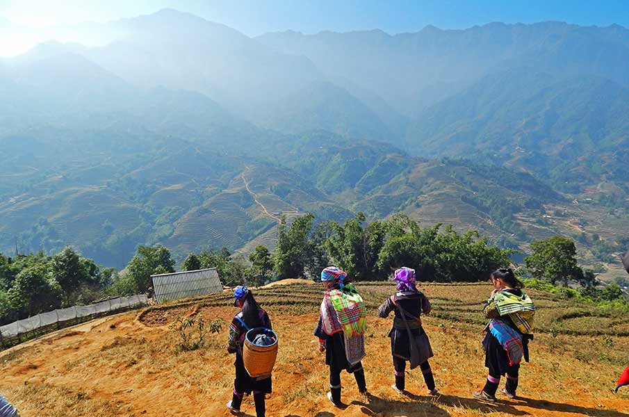 muong-hoa-valley-sapa-mountain-hmong