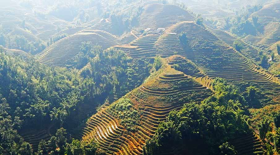 muong-hoa-valley-sapa-rice-terraces